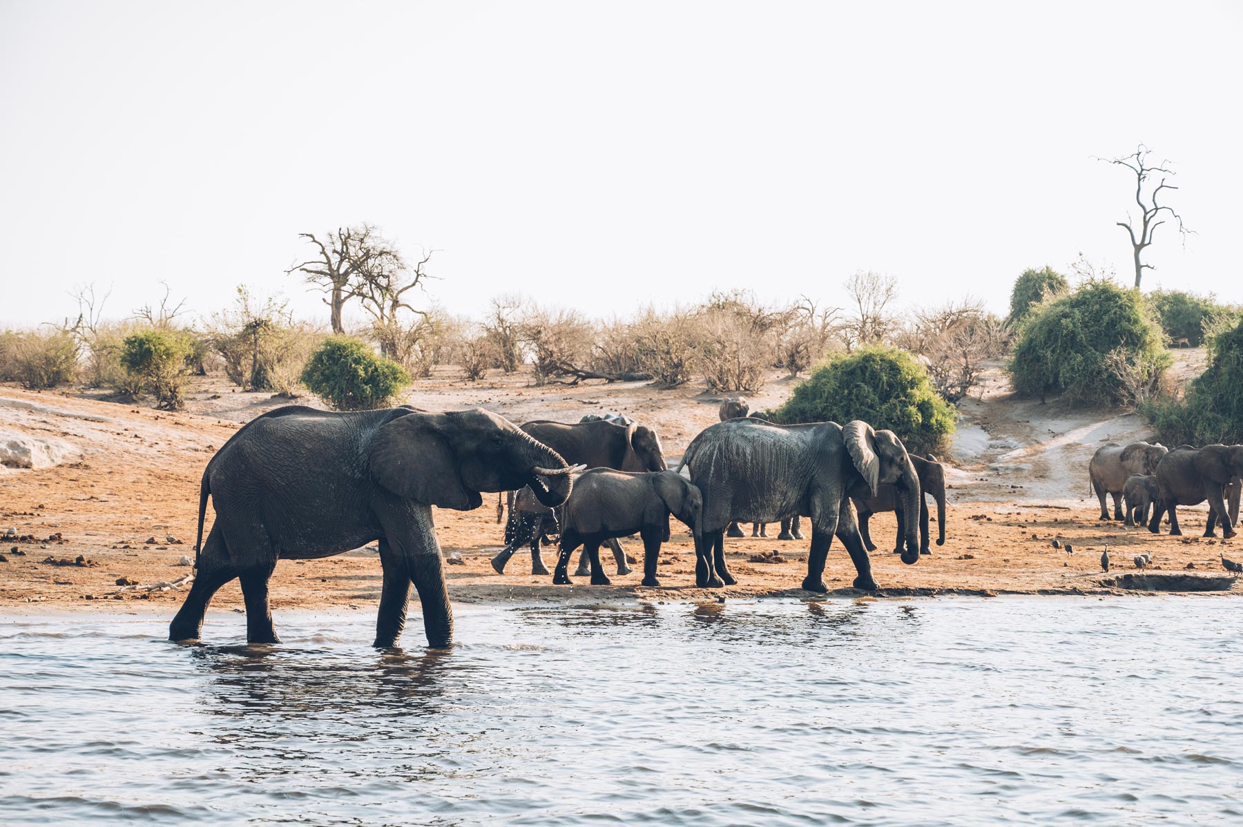 Croisière au Botswana, Croisieurope