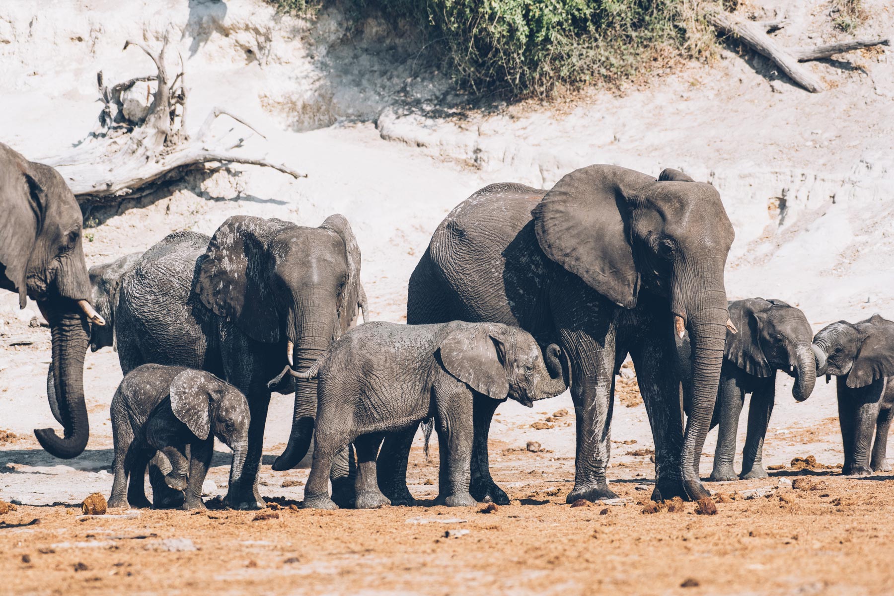 Chobe River, Botswana