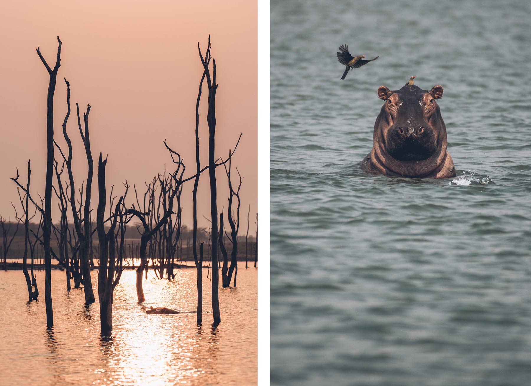 Lac Kariba, Zimbabwe