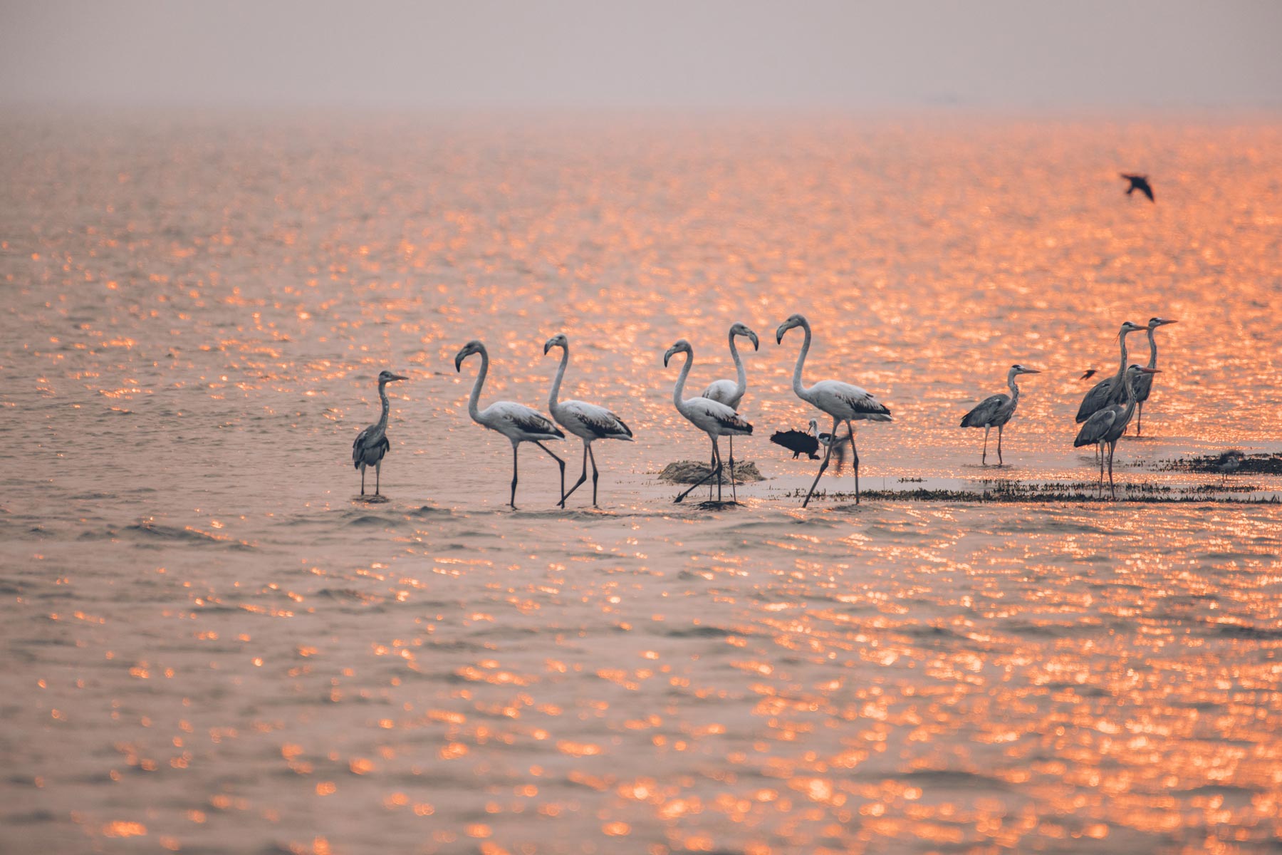 Lac Kariba, Zimbabwe