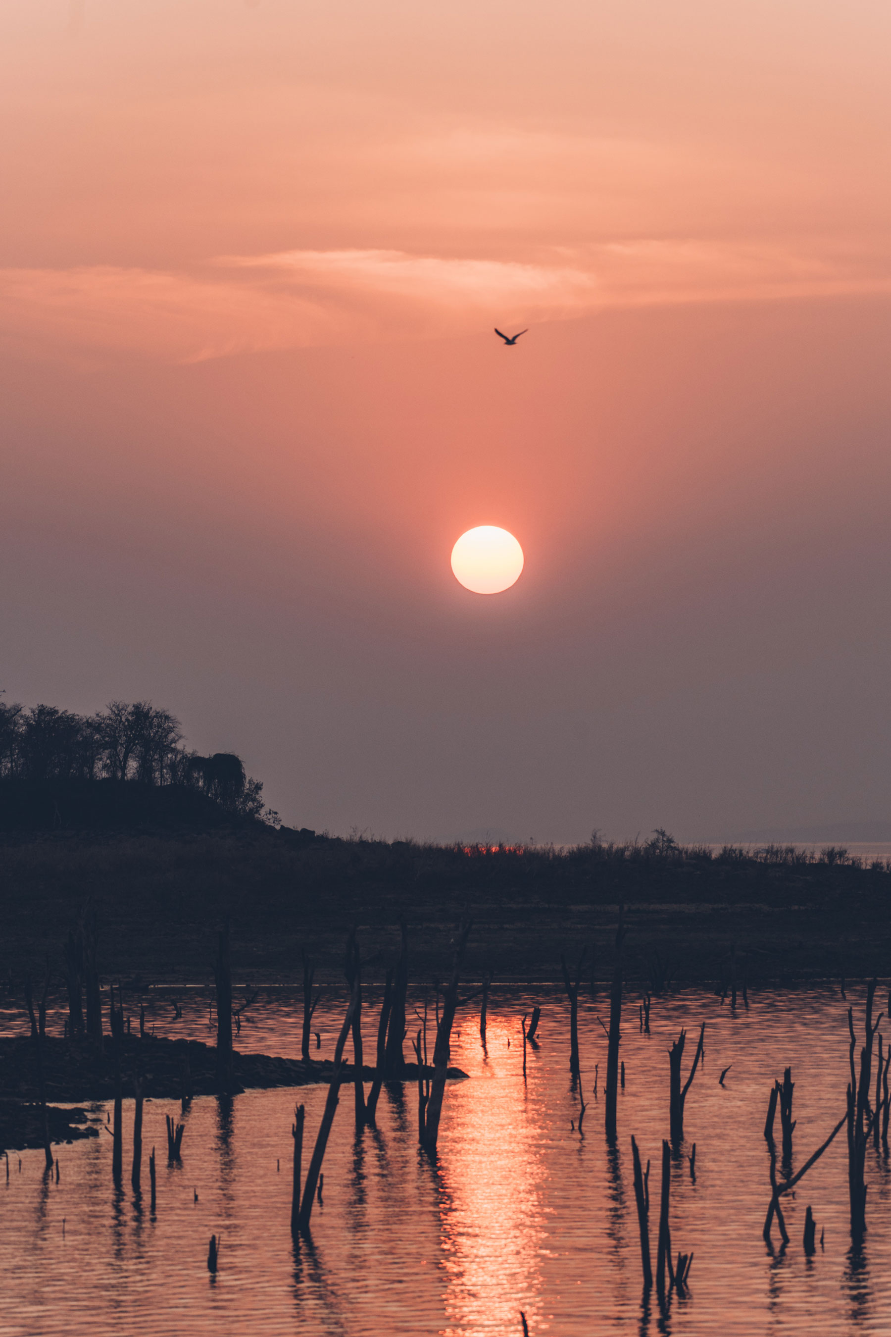 Lac Kariba, Zimbabwe