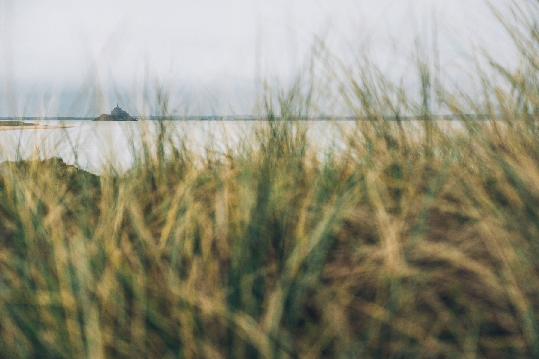 Birding Zen, Mont Saint Michel