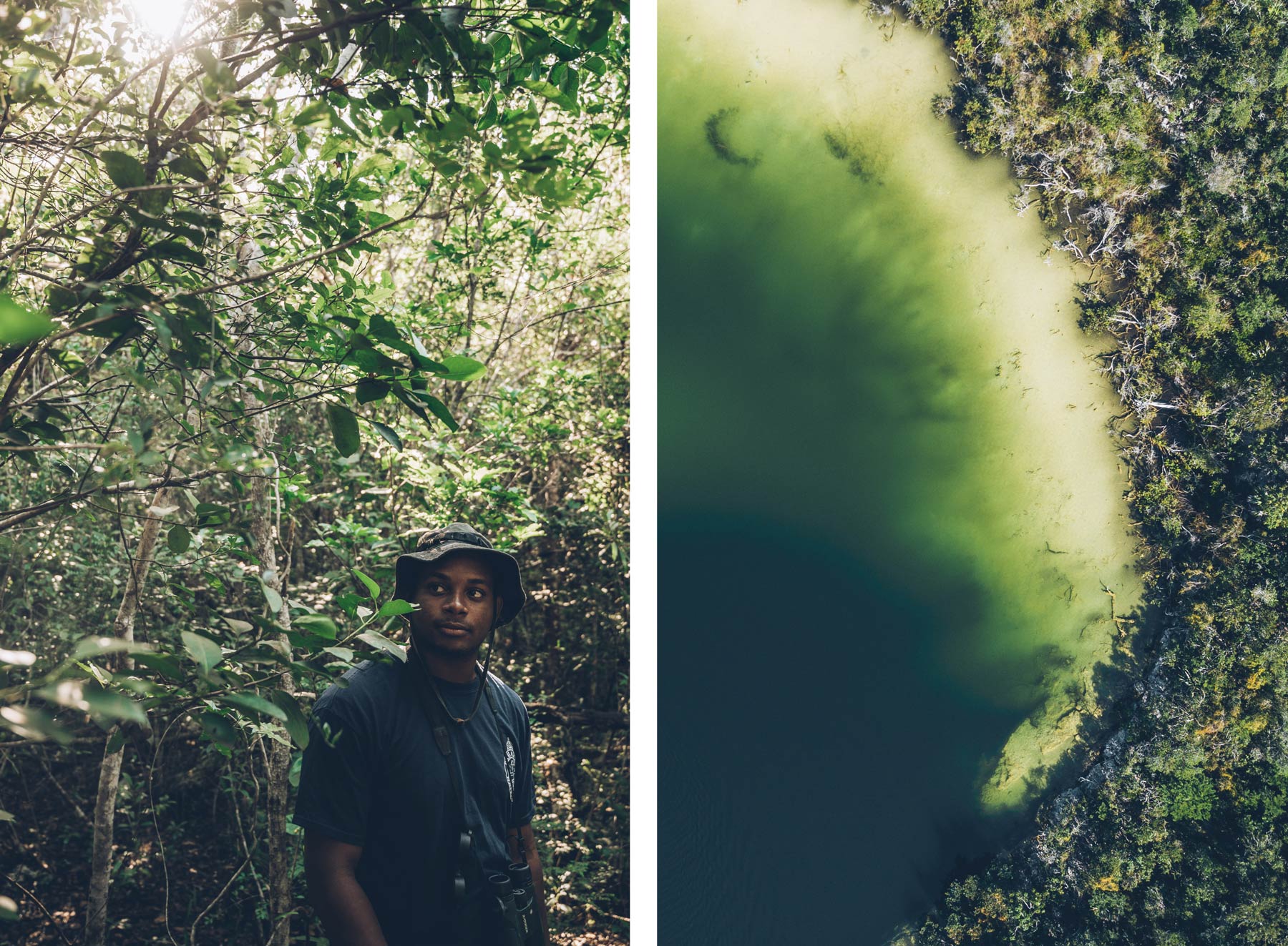 Andros blue holes National Park, Bahamas