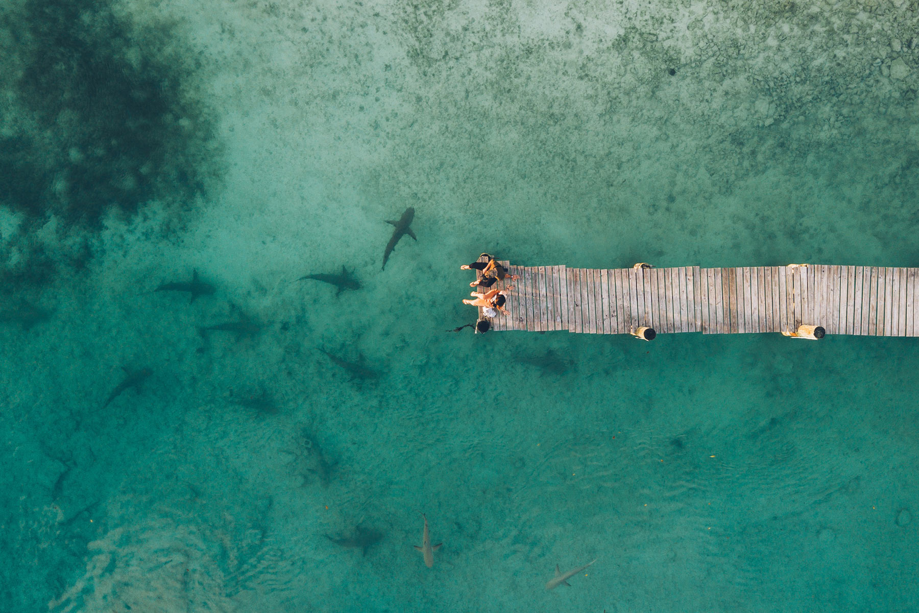 Hawks Nest, Cat Island, Bahamas