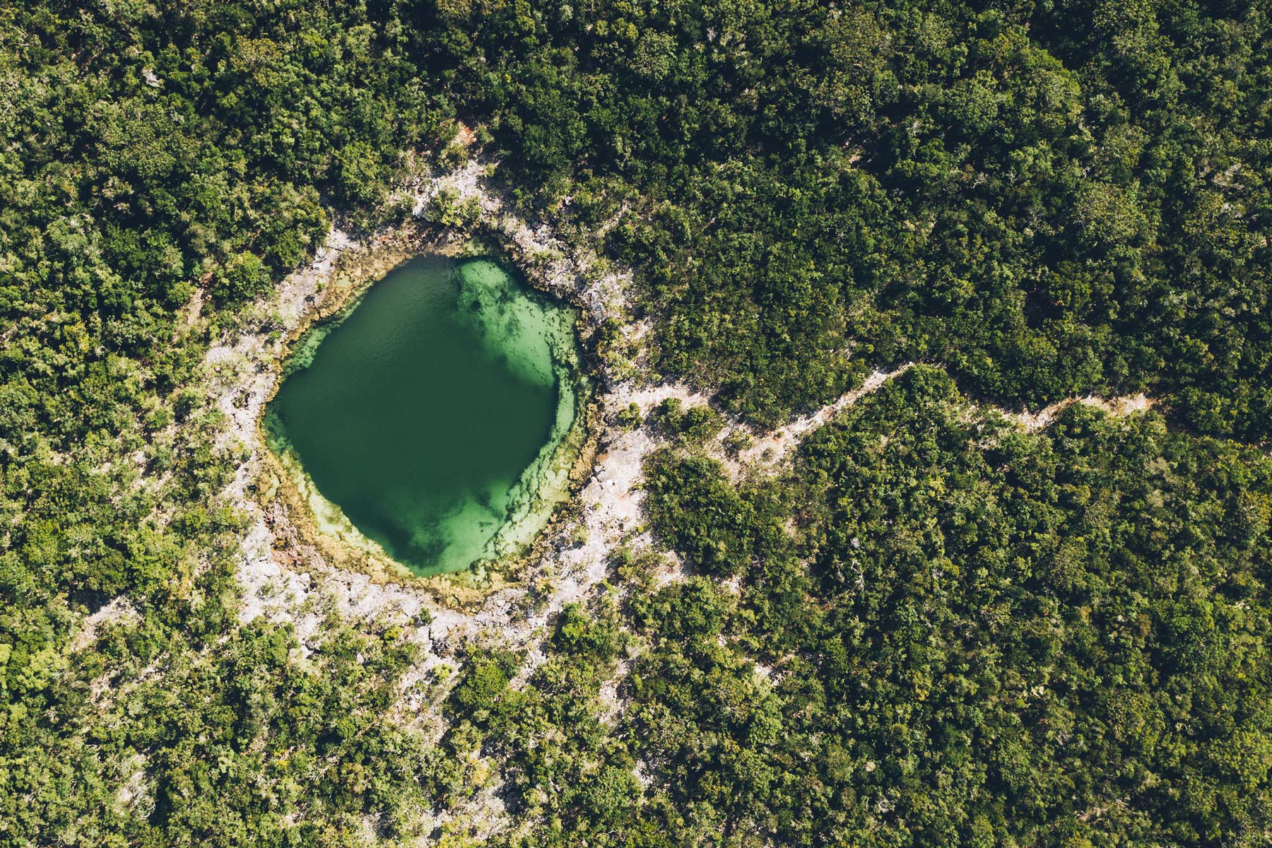 Trou vert de Cat Island, Bahams