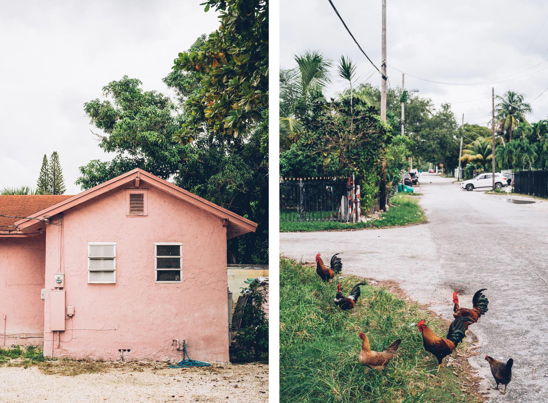 Little Haiti, Miami