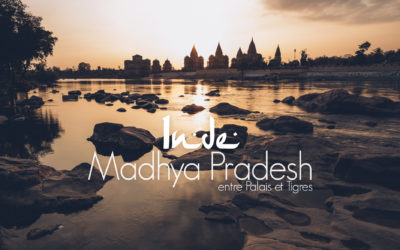 MADHYA PRADESH | 12 JOURS AU COEUR DE L’INDE ENTRE PALAIS ET TIGRES