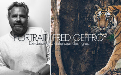 PORTRAIT | FRÉDÉRIC GEFFROY, DE DRESSEUR À DÉFENSEUR DES TIGRES