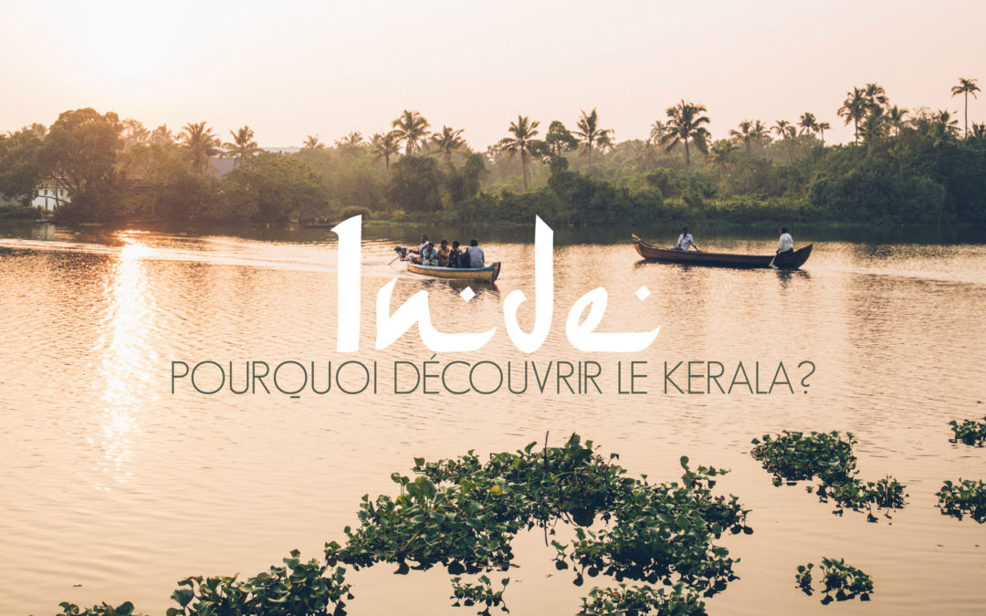 Pourquoi découvrir le Kerala