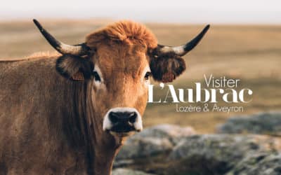 QUE FAIRE EN AUBRAC ? NOS INCONTOURNABLES