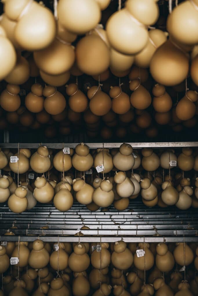 Masseria Capella, visite d'une ferme dans les Pouilles