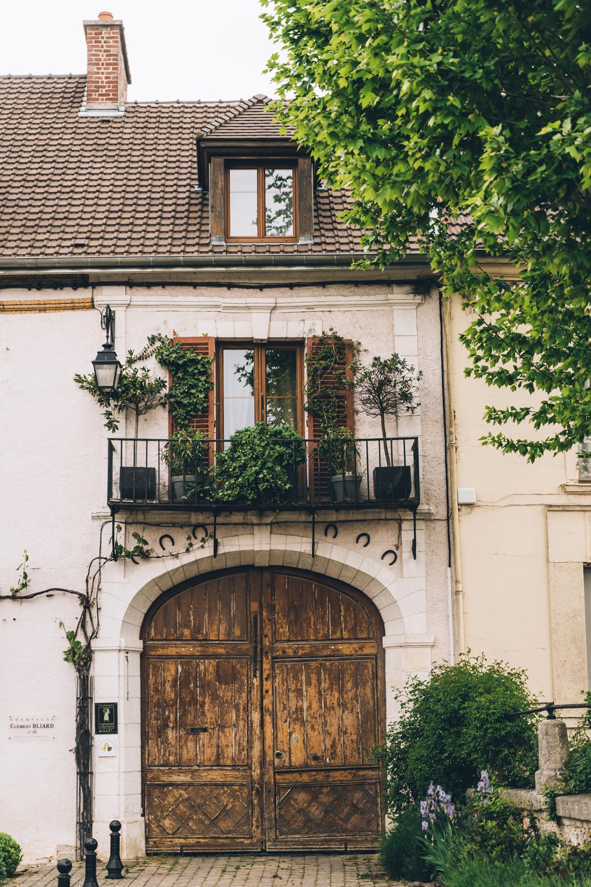 Hautvilliers, Champagne