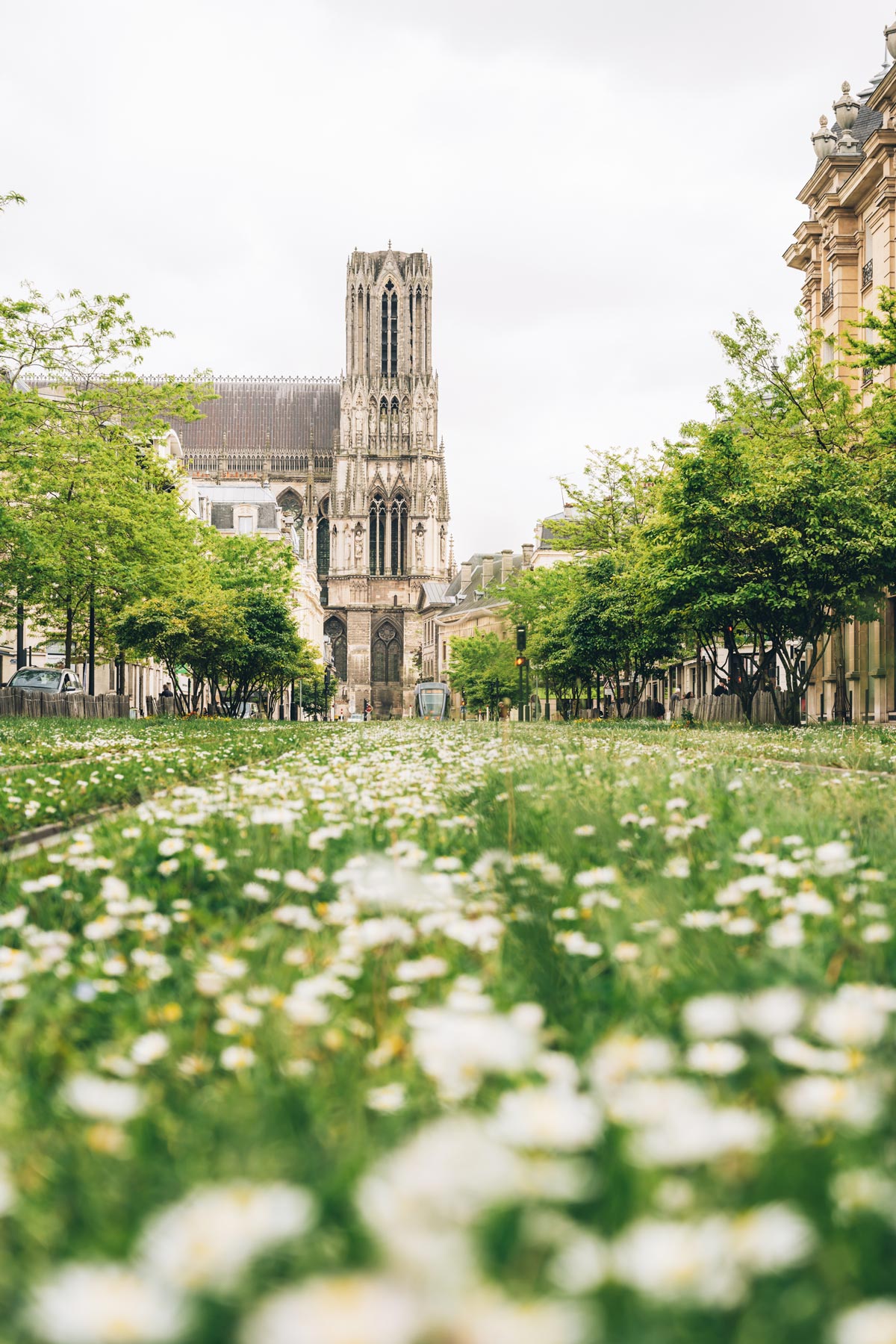 Cathédrale Notre Dame de Reims
