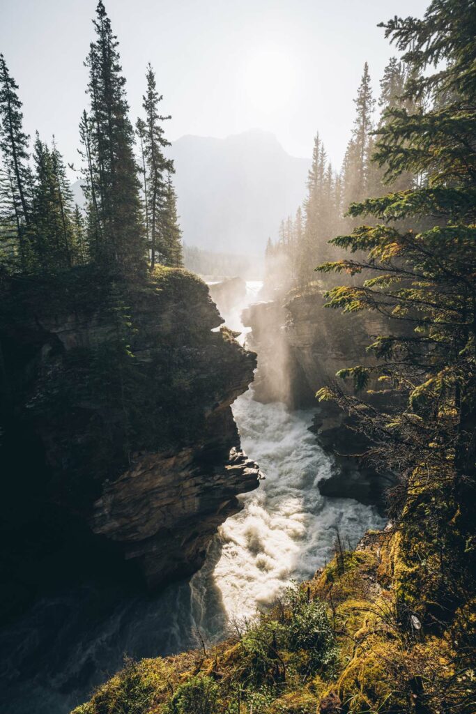 ATHABASCA FALLS