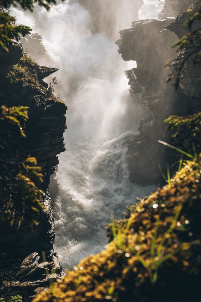 ATHABASCA FALLS