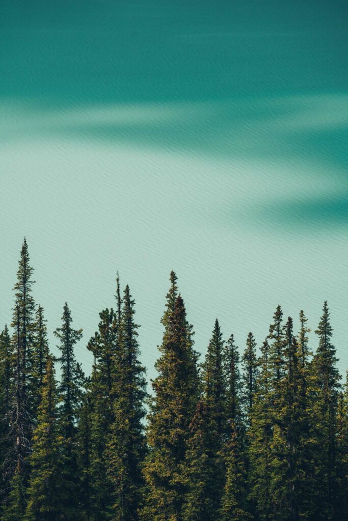 Peyto Lake, Canada