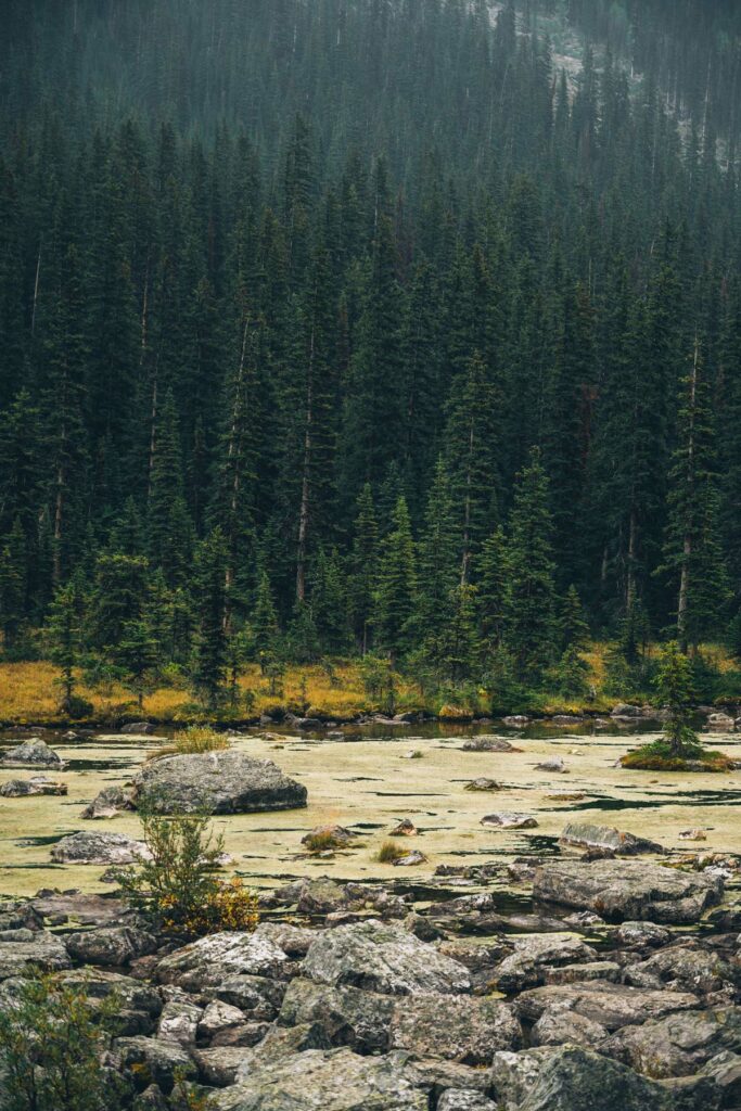 Consolation Lakes