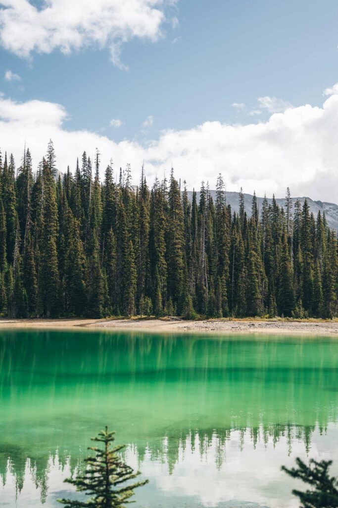 Yoho Lake