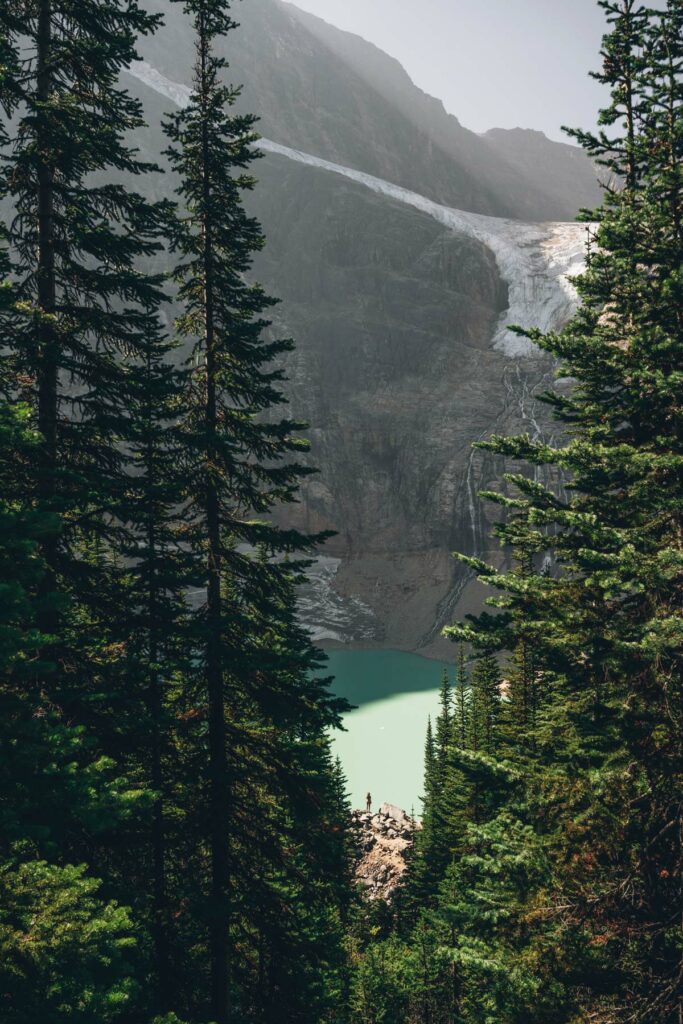 Edith Cavell Trail, Jasper