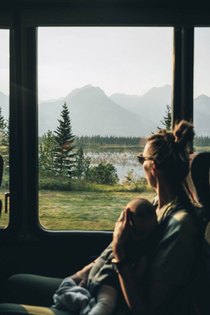 Jasper Wildlife Discovery Tour