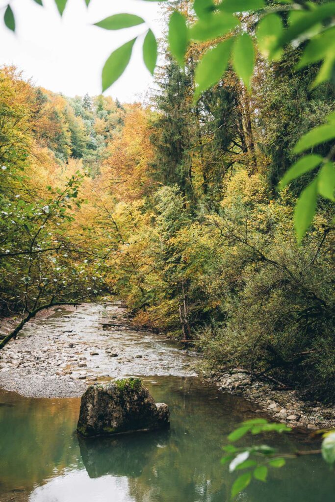 Les gorges de la Jogne, Suisse