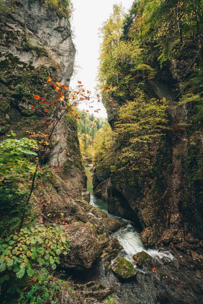 Les gorges de la Jogne, Suisse