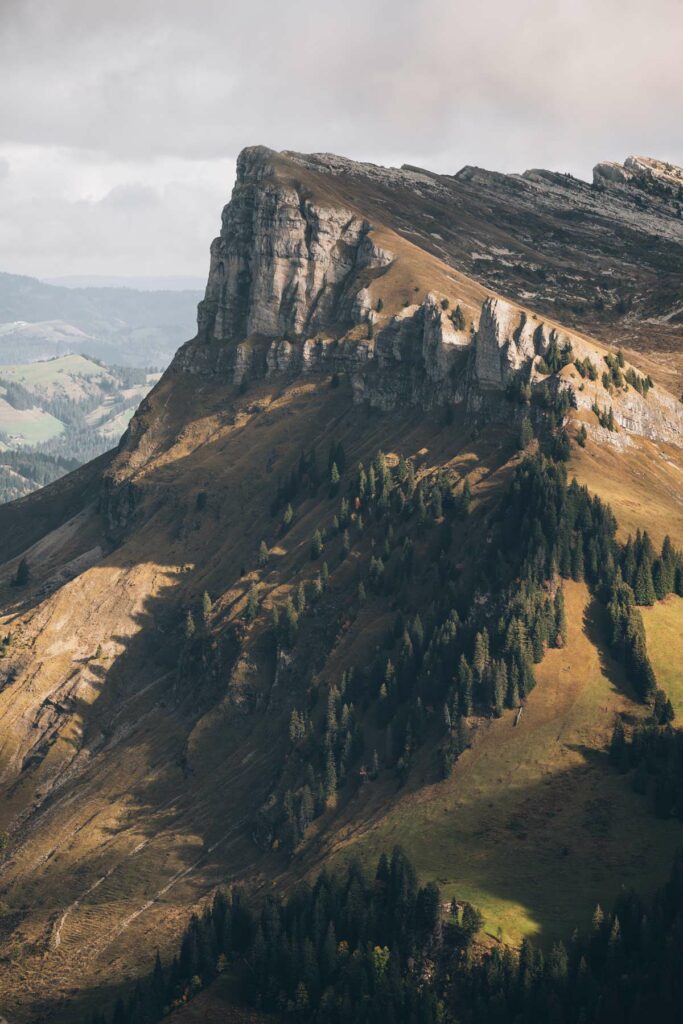 Niederhorn, Suisse