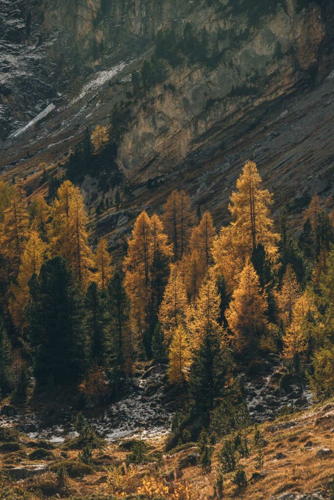 Plateau de Sunnbüel, Kandersteg