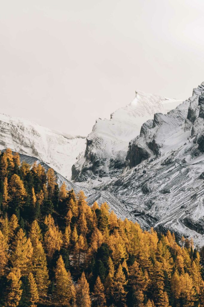 Plateau de Sunnbüel, Kandersteg