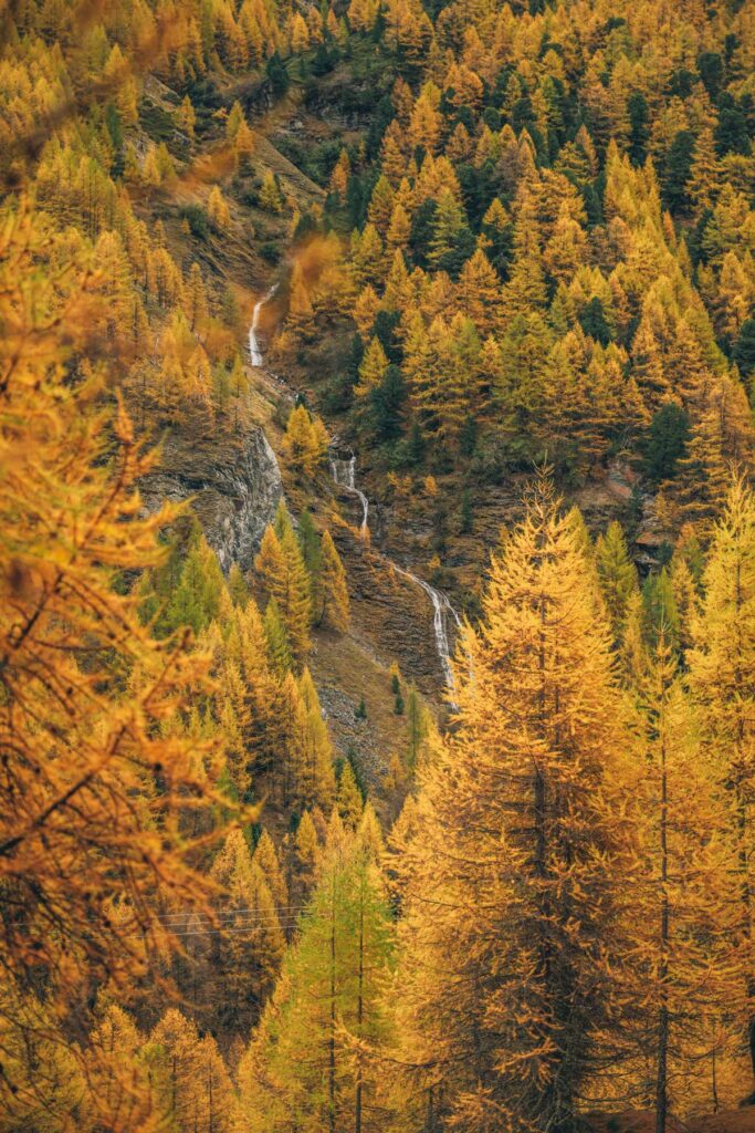 Automne en Suisse