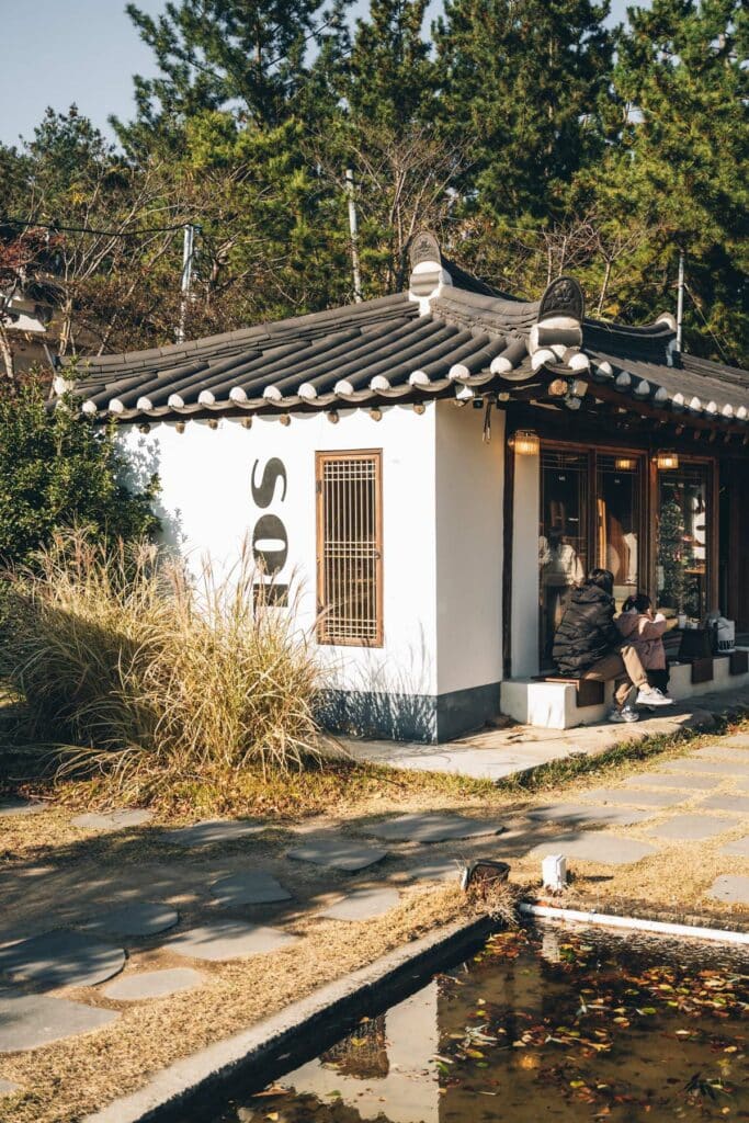 Sol, Gyeongju, Corée du Sud