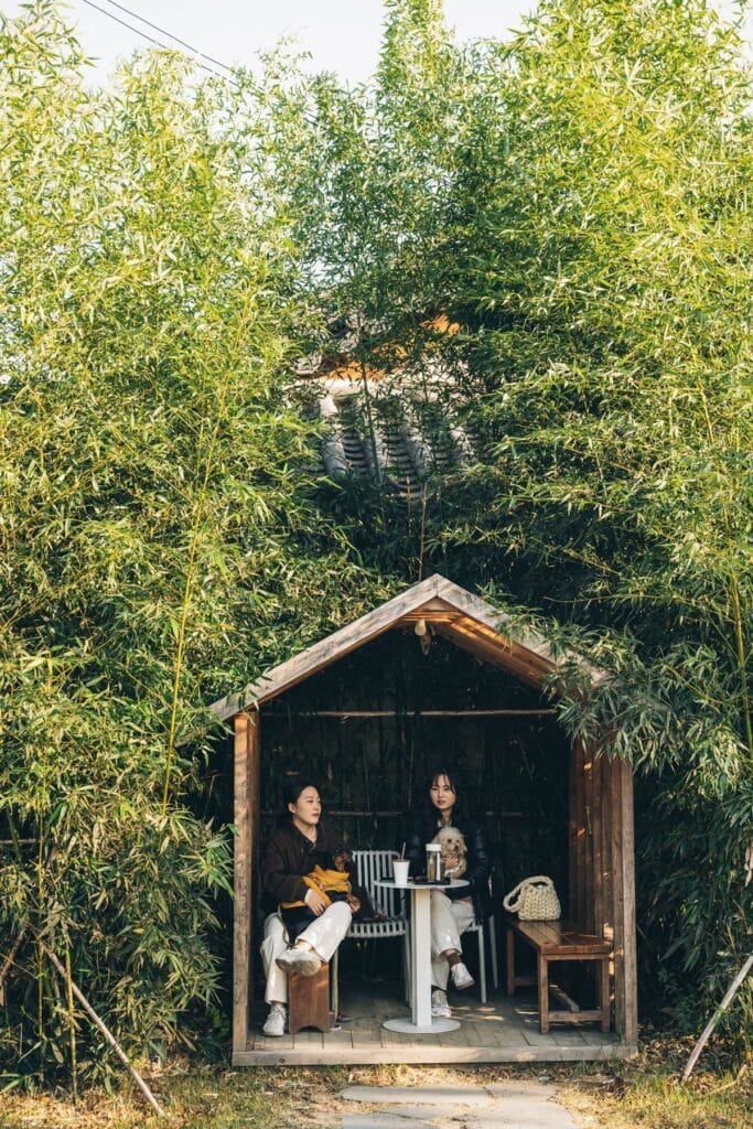 Café, Gyeongju, Corée du Sud