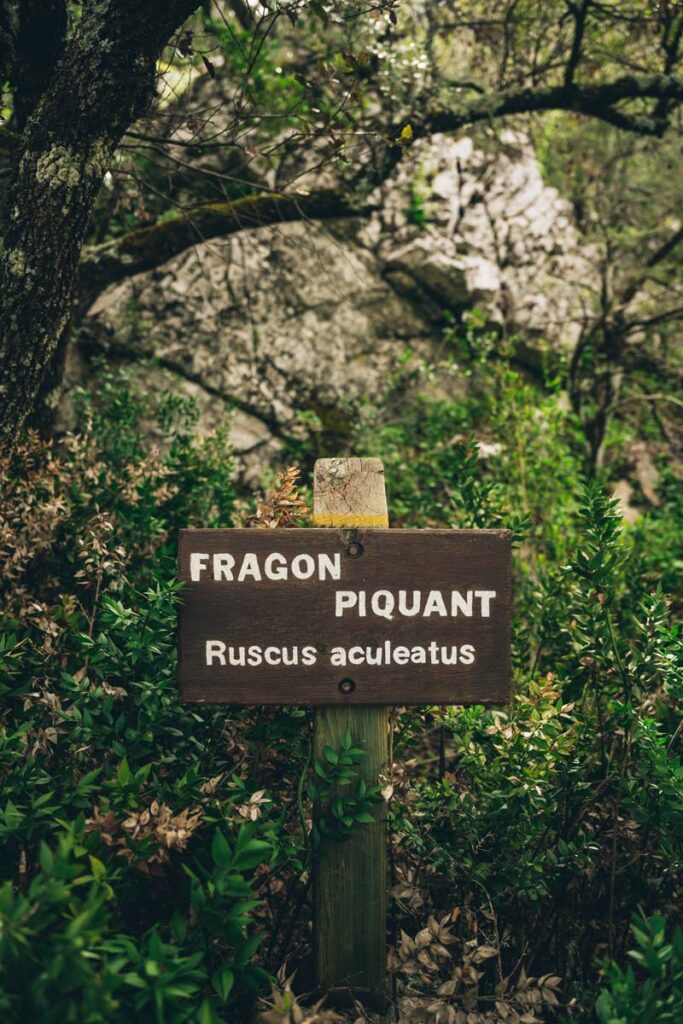 Sentier botanique, Esparron de Verdon