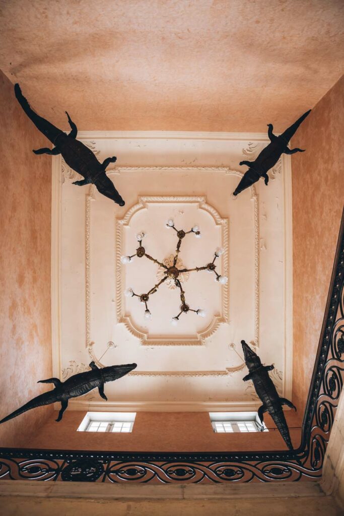 Crocodiles de la Mairie de Nîmes