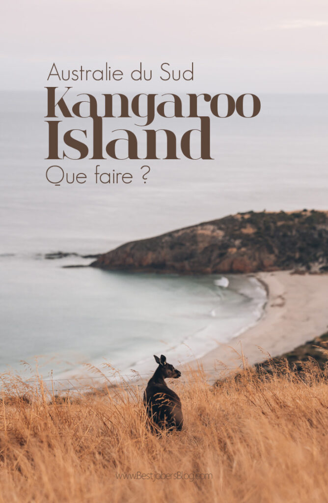 Que faire à Kangaroo Island ?