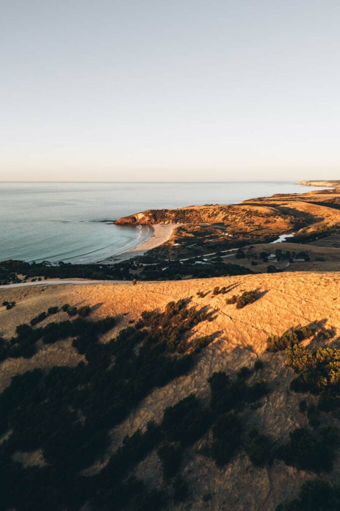 Kangaroo Island blog