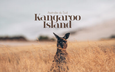 VISITER KANGAROO ISLAND EN AUSTRALIE DU SUD: NOTRE GUIDE COMPLET