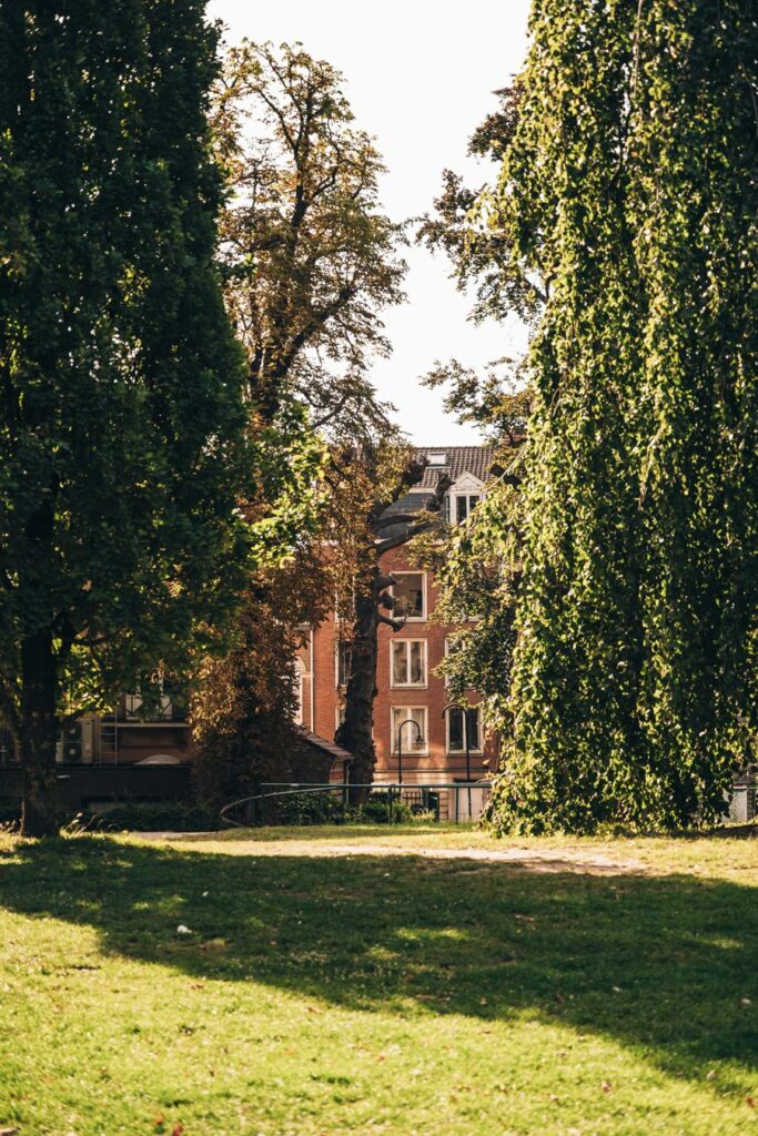 Parc, Louvain