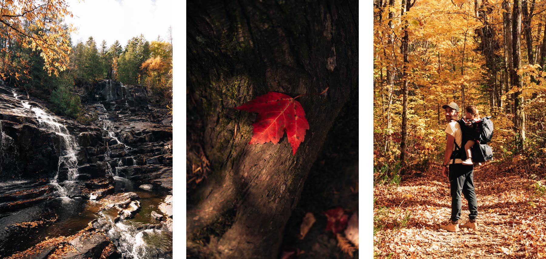 Couleurs d'automne au parc de la Mauricie au Québec