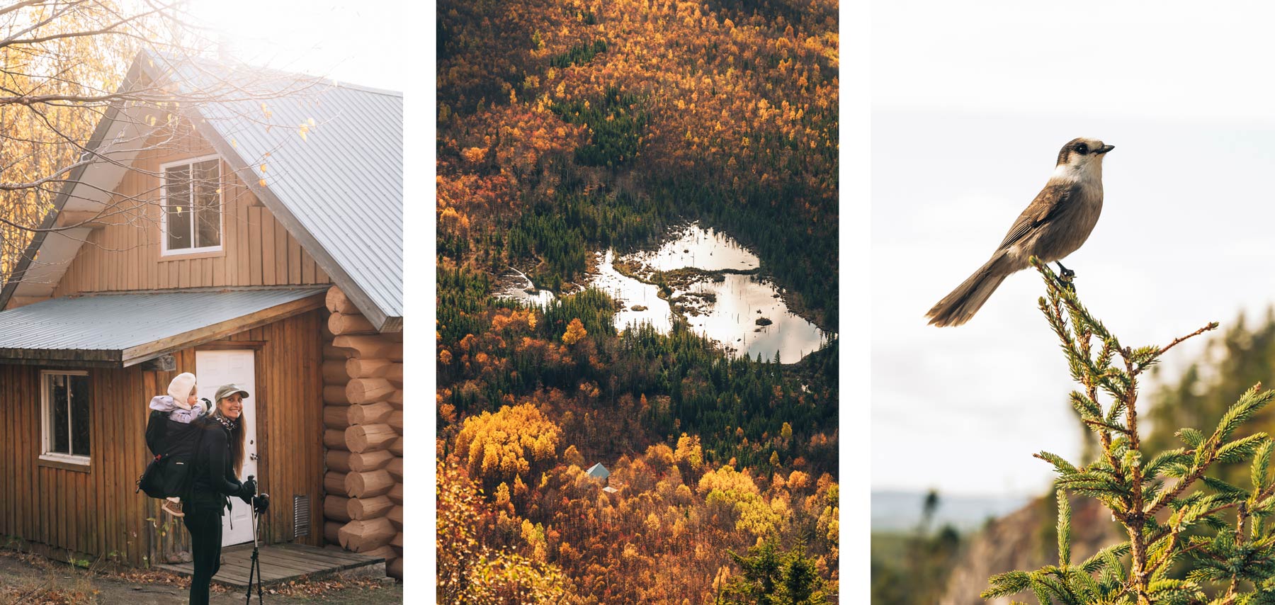 Rando du Mont du Dôme, Charlevoix