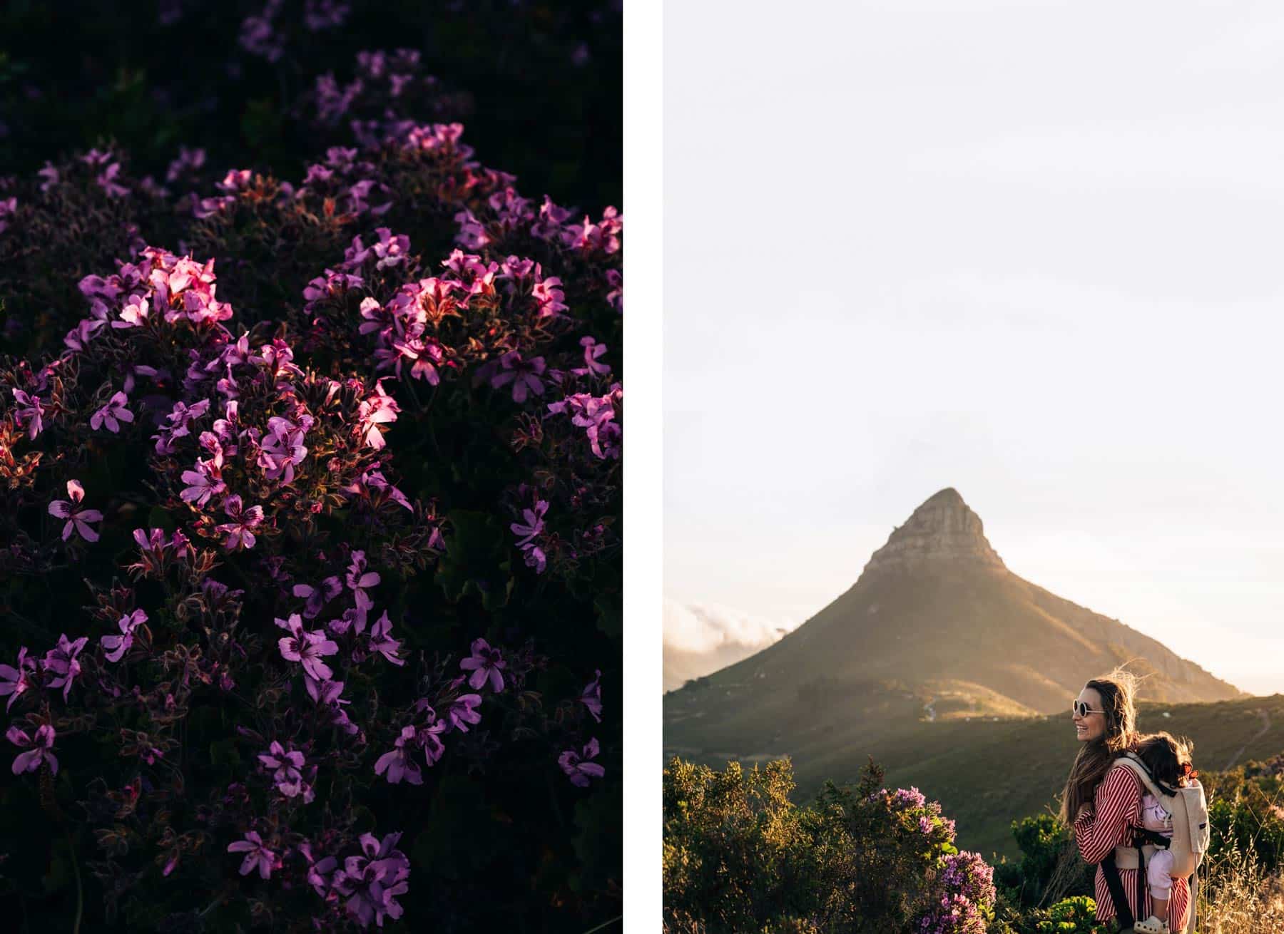Signal Hill, Cape Town