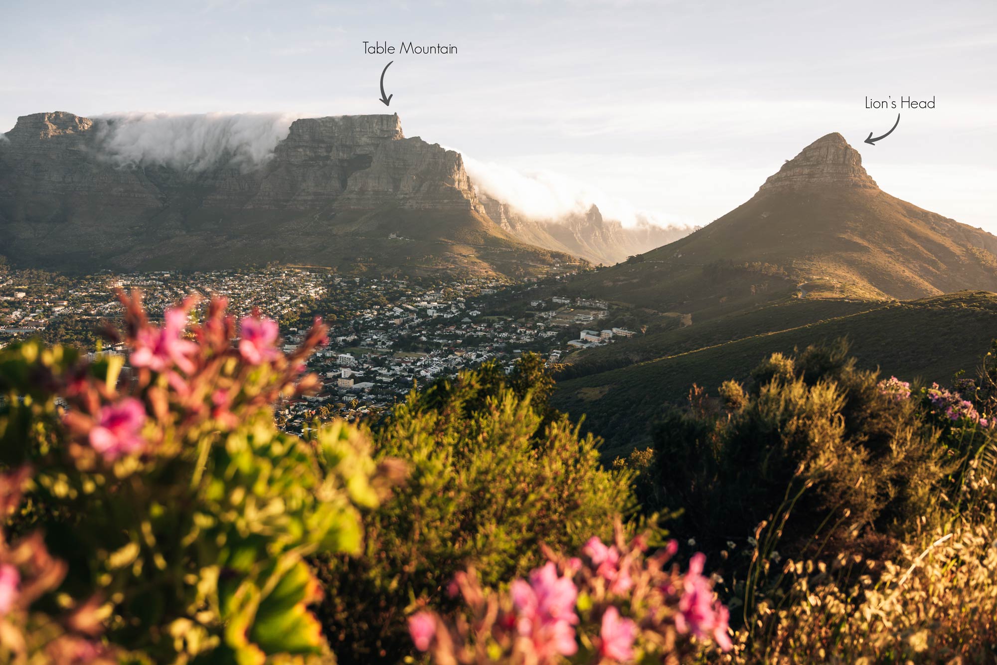 Vue depuis Signal Hill, Cape Town