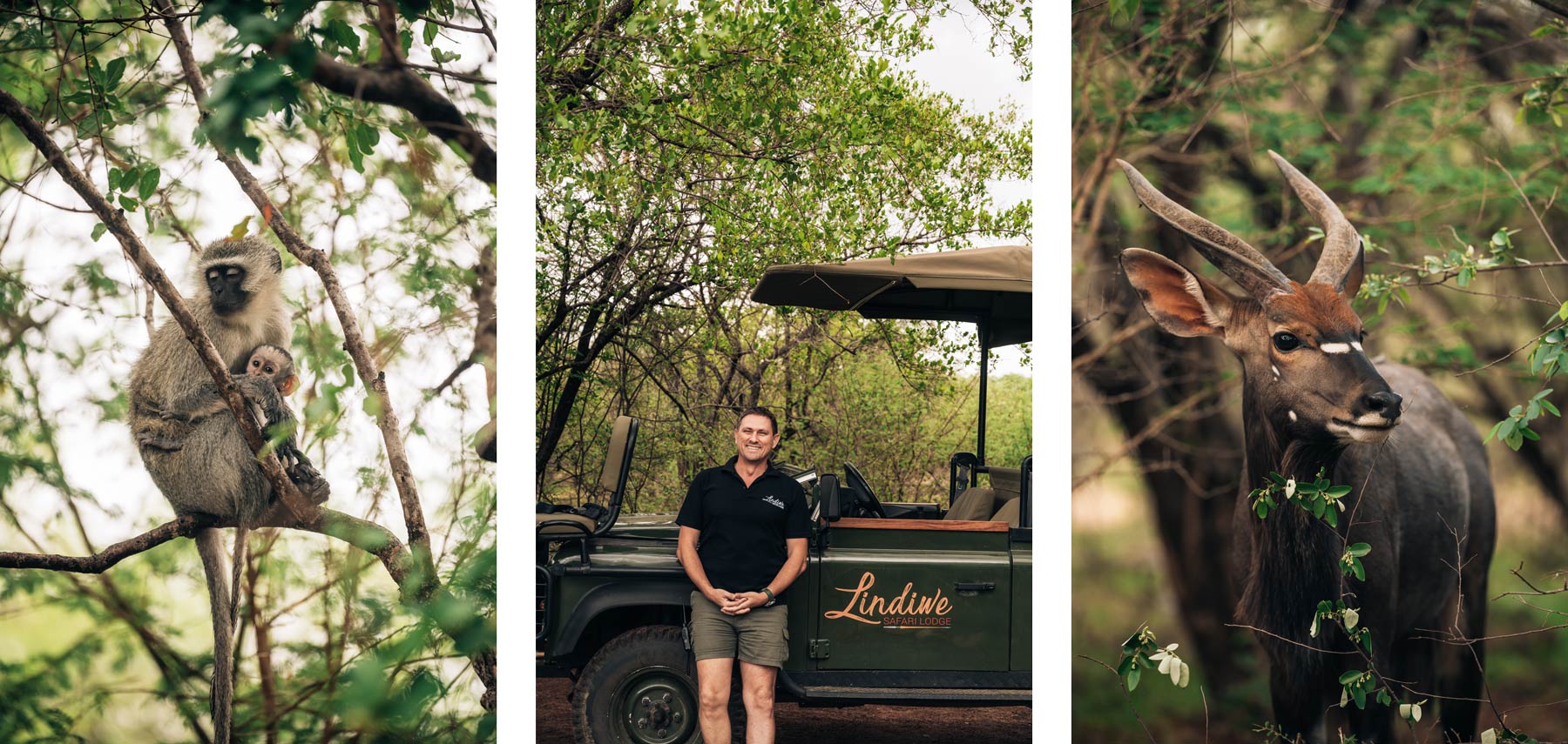 Patrick, Lindiwe Safari Lodge