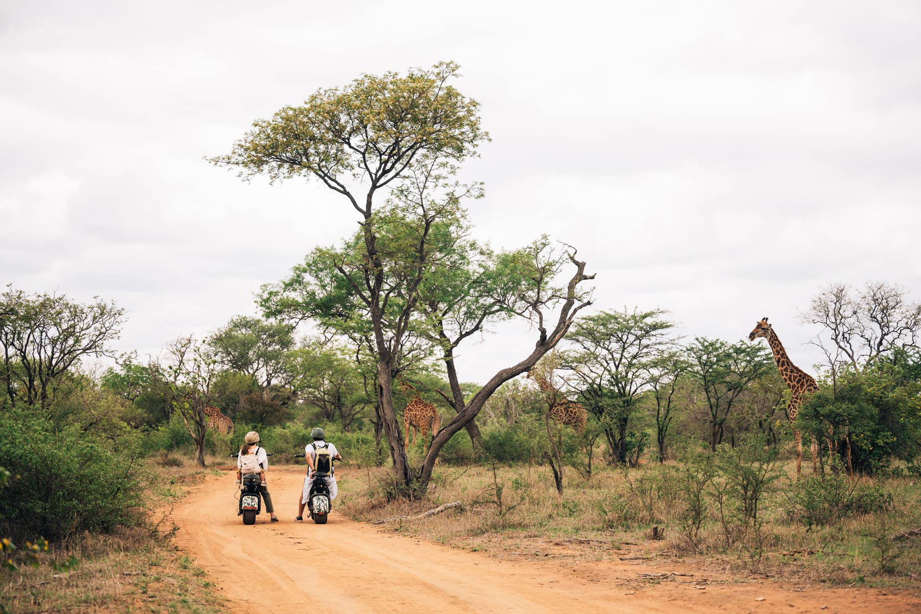 Safari en scooter électrique en Afrique du Sud