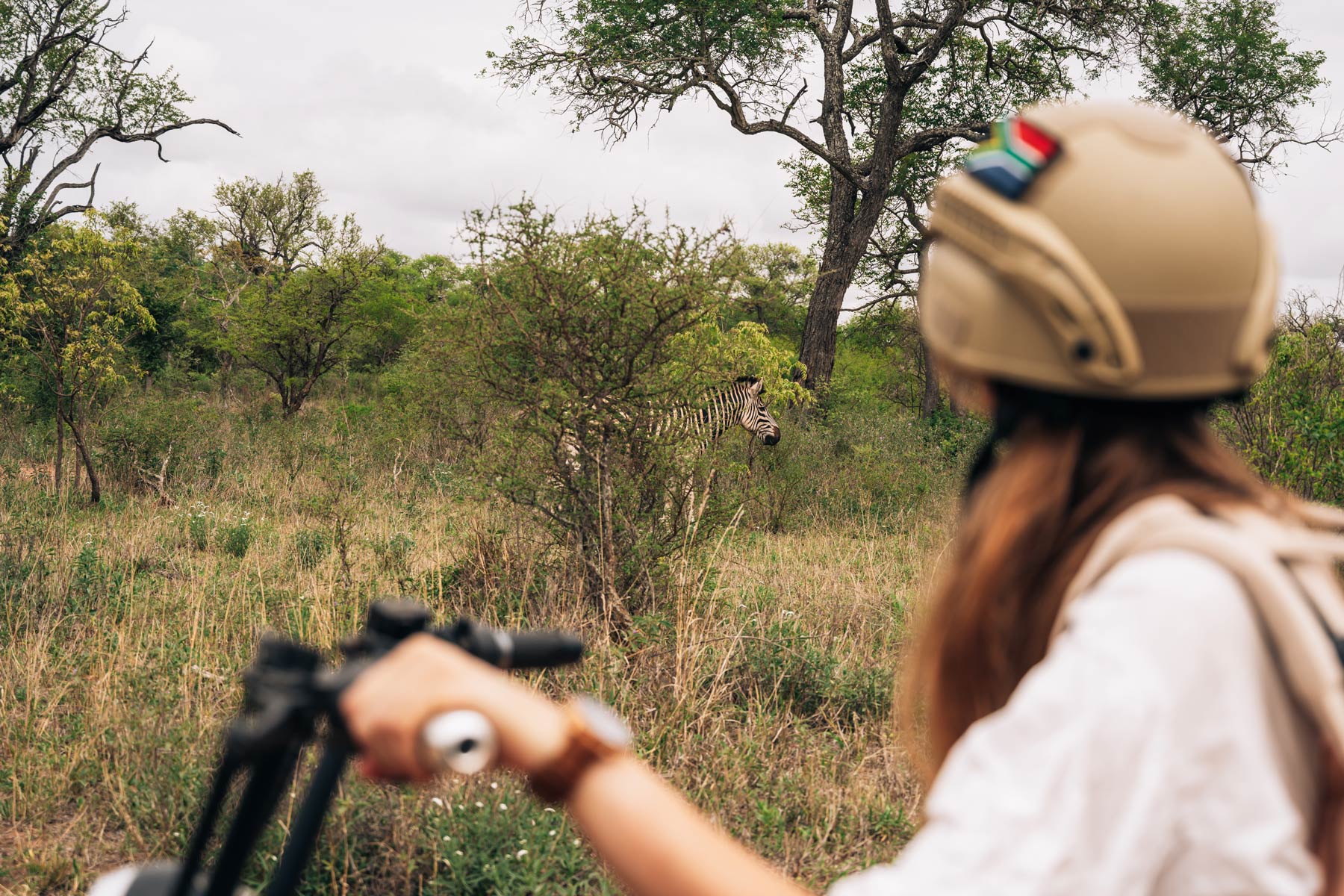 Safari en scooter électrique, Hoedspruit, Afrique du Sud