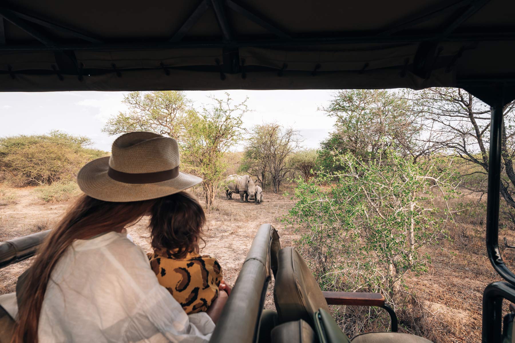 Safari Afrique du Sud en famille
