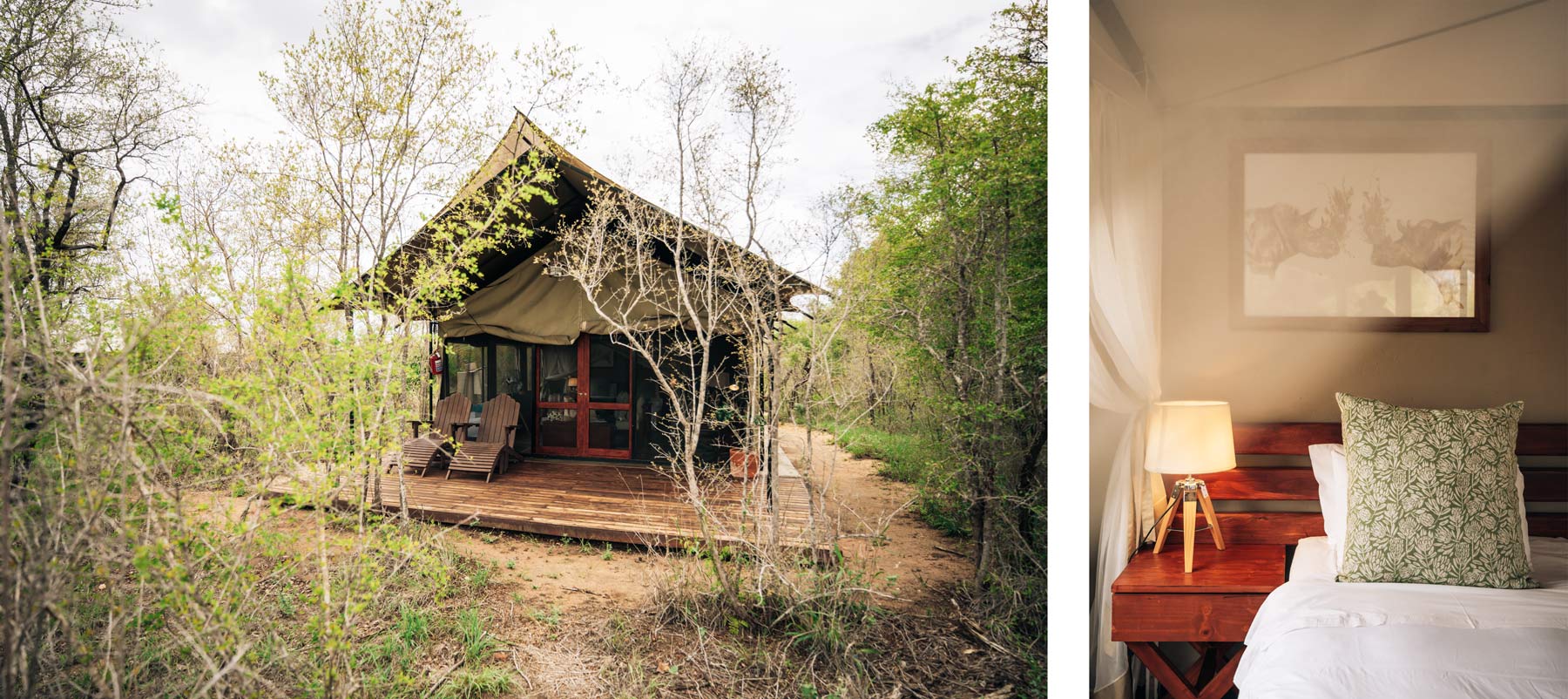 Tente Safari Manyeleti