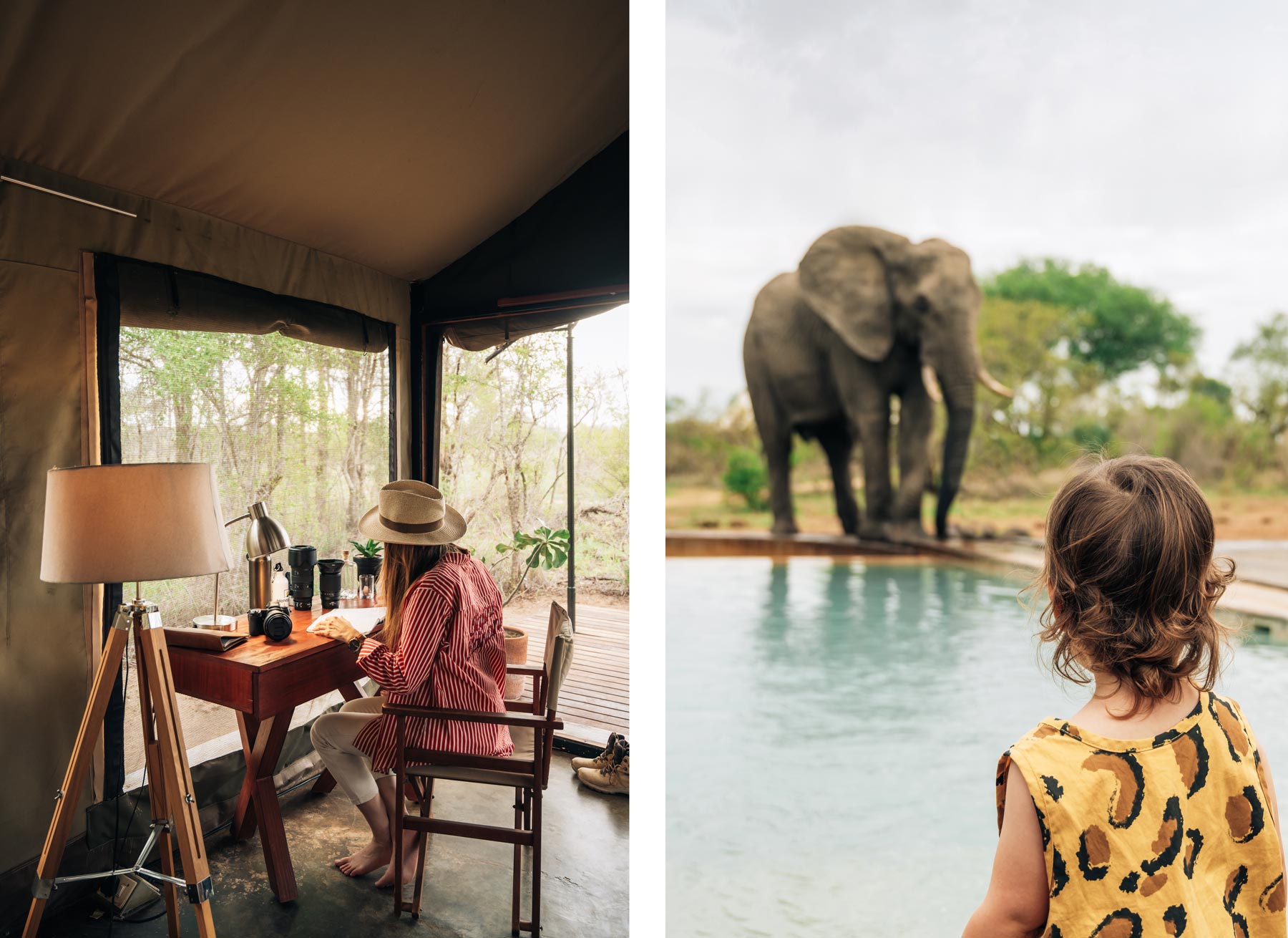 Safari en famille Kruger