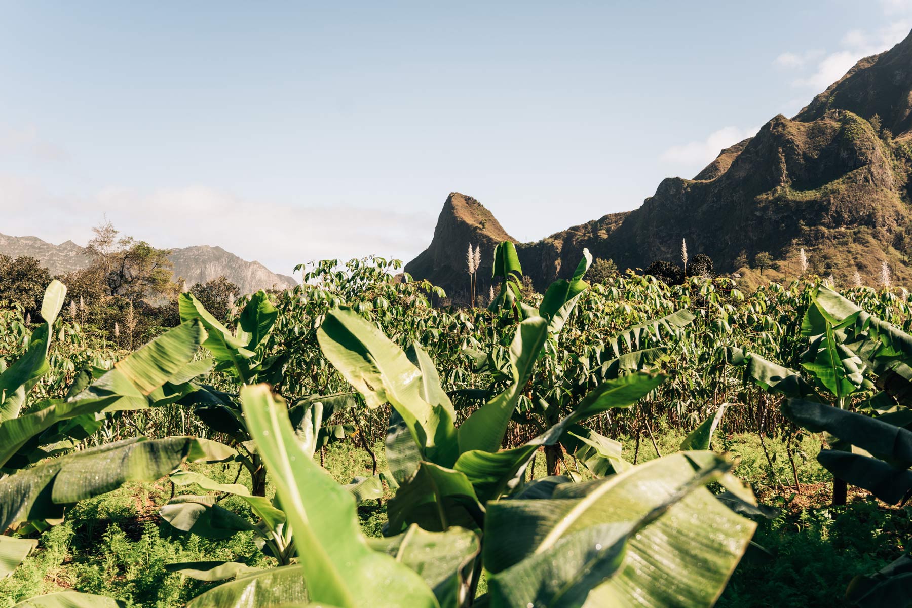 Vallée de Paul, Santo Antao