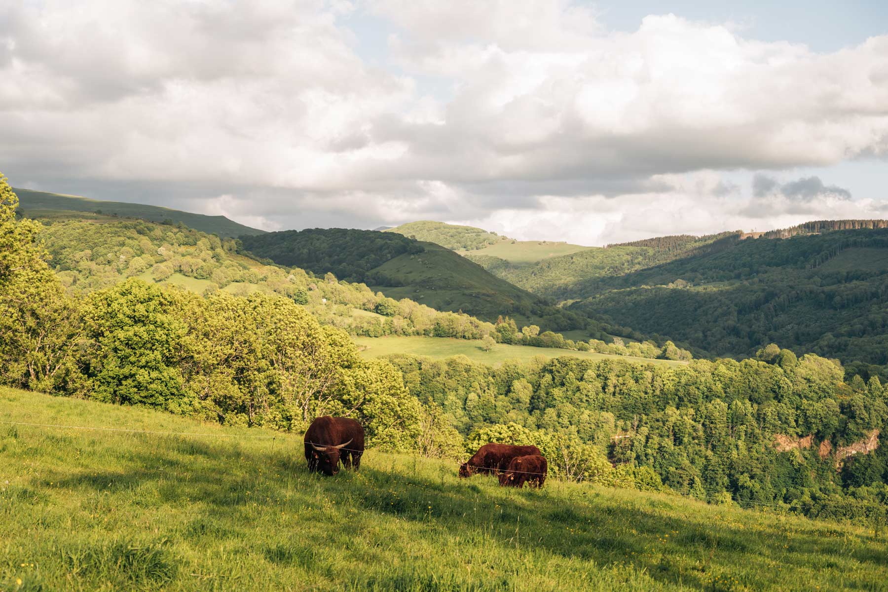 Salers, Cantal